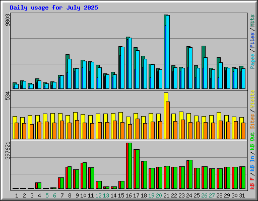 Daily usage for July 2025