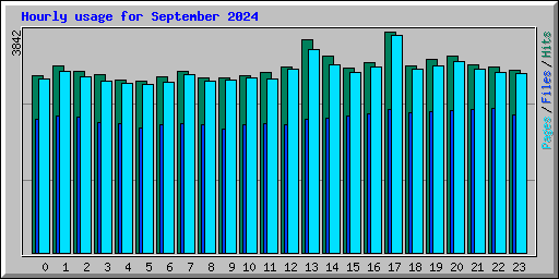 Hourly usage for September 2024