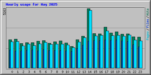 Hourly usage for May 2025