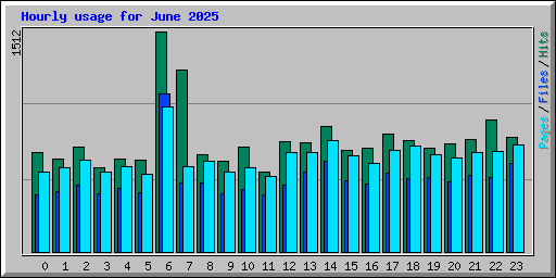 Hourly usage for June 2025