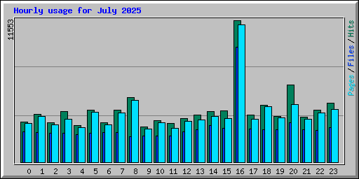 Hourly usage for July 2025