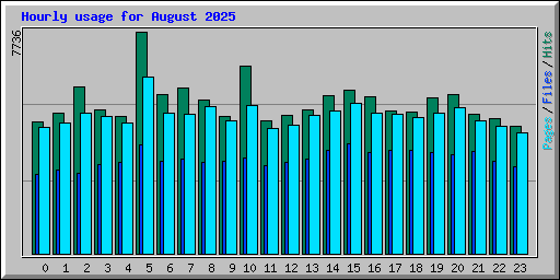 Hourly usage for August 2025
