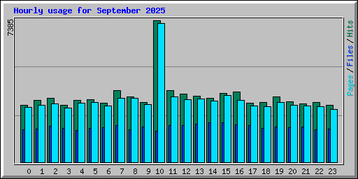 Hourly usage for September 2025