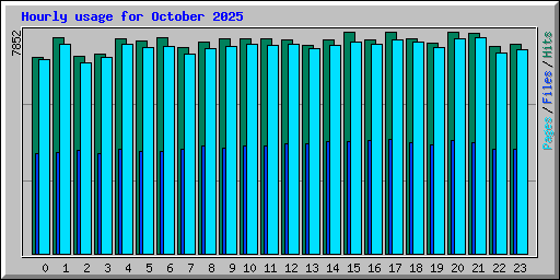 Hourly usage for October 2025