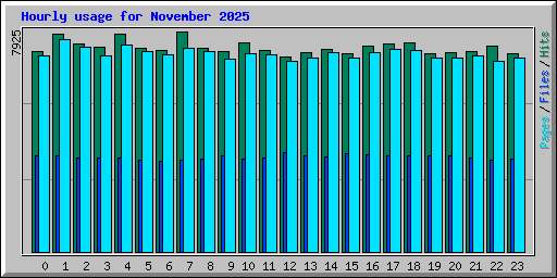 Hourly usage for November 2025