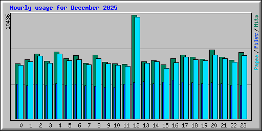 Hourly usage for December 2025