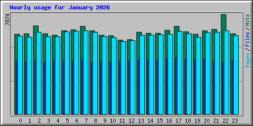 Hourly usage for January 2026