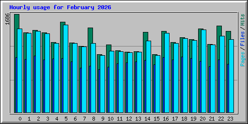 Hourly usage for February 2026