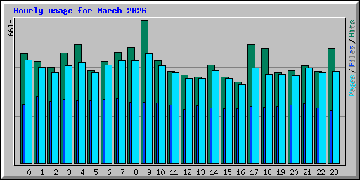 Hourly usage for March 2026