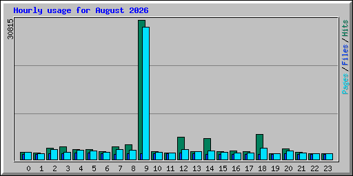 Hourly usage for August 2026